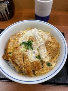 かつや 秋葉原中央改札口店