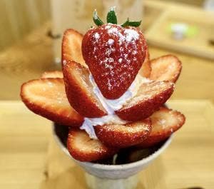 どっぐカフェ らくの木