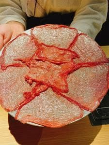 和牛料亭 bungo 祇園