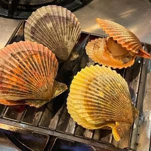 おばんざい魚 酒 晴家