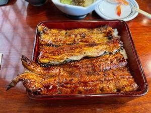 鰻松