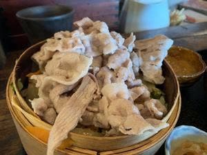伍楽