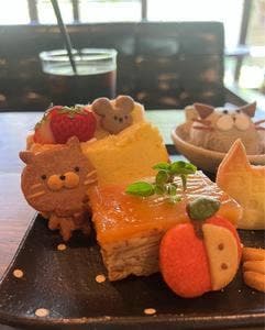 cafe cocotte