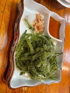 琉球居酒屋 あぱら樹