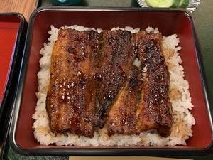 蒲兵