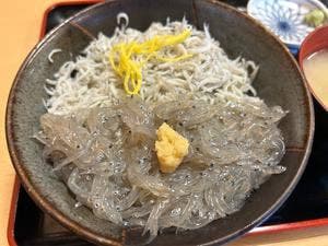 マイアミ貝新