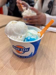 ブルーシール 沖縄 ライカム店