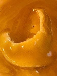 中国料理 天廣堂