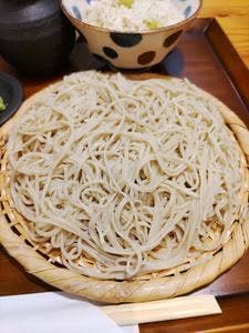 風鈴草