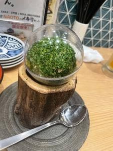 鮨 酒 肴 杉玉 木場