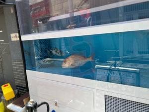 本場の味 韓国料理専門店 南家陸海堂