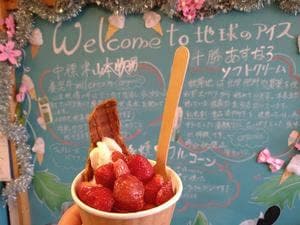 地球のアイス
