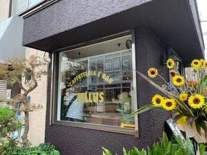 TELLUS