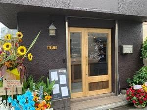 TELLUS