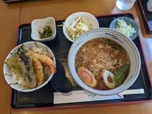 更科 美やこ