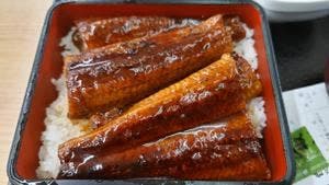 吉野家 2号線五日市店