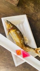 恵那峡 さかえ屋