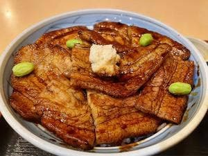 豚丼の はなとかち