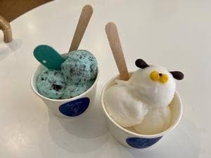 gelateria Toc tooc 鎌倉店