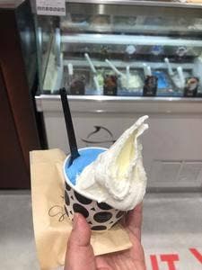 円山ジェラート 茶屋