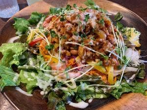 喫茶・食堂oitette