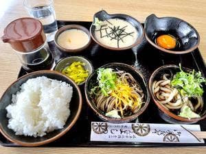 よしの