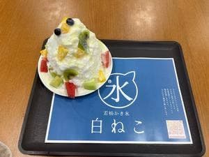 若松かき氷 白ねこ