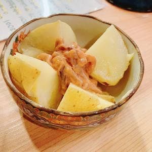 常磐サケナリ のぶ