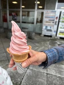 道の駅 とうま