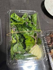 うな陣