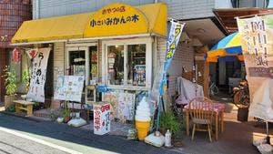 おやつの店 小さいみかんの木