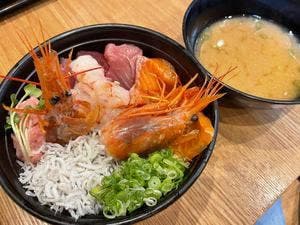 ここうみ食堂