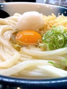 自家製麺うどん そわか