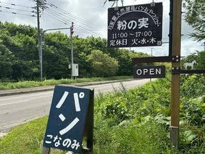 粉の実