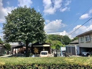 チリンチリンコーヒーストア