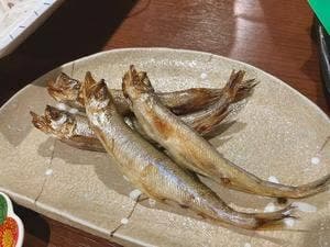 魚一心