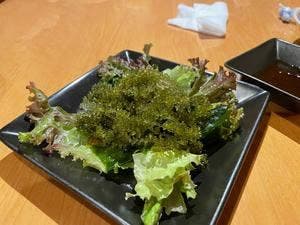 のんき家亭