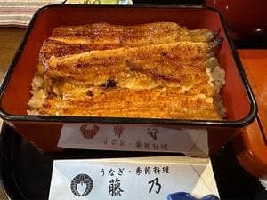 藤乃