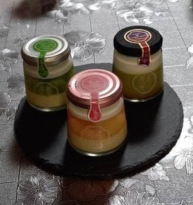 道の駅 茶の里東白川