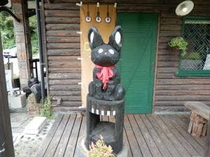 音猫
