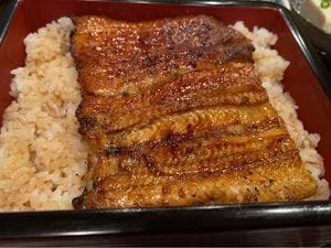 うな菊