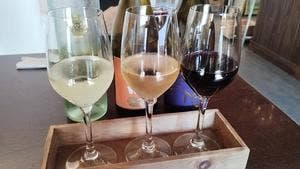 WINE SHOP ACCATONE539