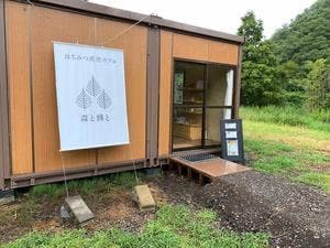 森と蜂と