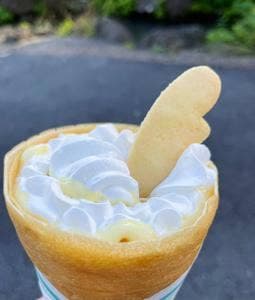 Sii Felice