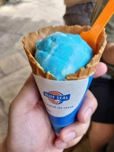 ブルーシール デポアイランド店