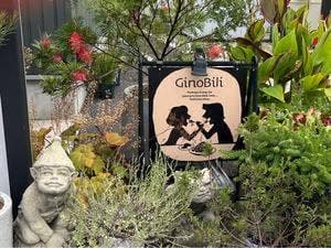 GinoBili