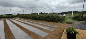 畑の中のジューススタンド ベルファームつくば