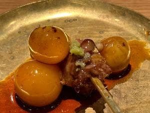 鳥鶏研究団