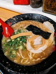 無鉄砲がむしゃら