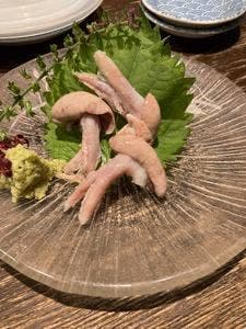 小川の魚